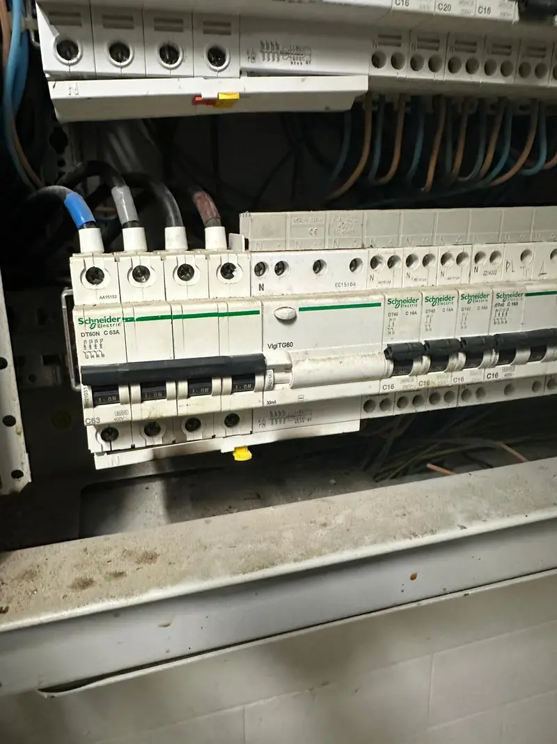 Disjoncteurs Schneider DT60N et interrupteur différentiel Vigi TG60